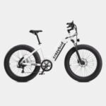 Crazybird Jumper E-Bike - UK - Image 18