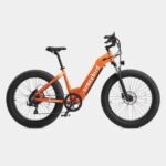 Crazybird Jumper E-Bike - UK - Image 2