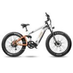 Cyrusher Ranger All-terrain electric bike - UK