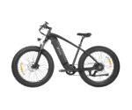 DYU King 750 Mountain Electric Bike - US - Image 2
