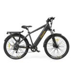 ELEGLIDE TX01 Electric Bike