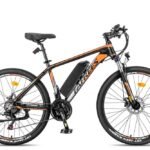 Fafrees 26 Hailong One Electric Bike