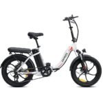 FAFREES F20 Folding Electric Bike - Image 2