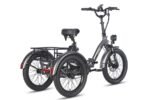 Fafrees F20 Mate Electric Tricycle - Image 14