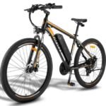 Fafrees F28 MT Mountain Electric Bike