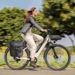 Fiido C11 city Electric Bike - Image 5