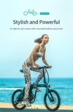 FIIDO D11 Mountain Electric Bike - Image 9