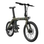 FIIDO D21 Folding Electric Bike