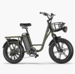 FIIDO T1 PRO Electric Cargo Bike upgraded v2 2024 edition-UK - Image 25