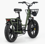 FIIDO T1 PRO Electric Cargo Bike upgraded v2 2024 edition-UK - Image 4