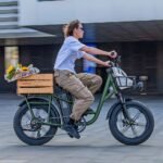 FIIDO T1 pro v2 upgraded Cargo  Electric Bike - Image 6
