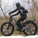 Fiido Titan Robust Cargo Electric Bike - Image 5
