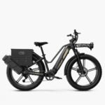 Fiido Titan Robust Cargo Electric Bike - Image 6