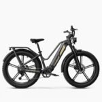 Fiido Titan Robust Cargo Electric Bike-UK