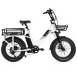 Joykie EHD303 Electric Cargo Bike - Image 3